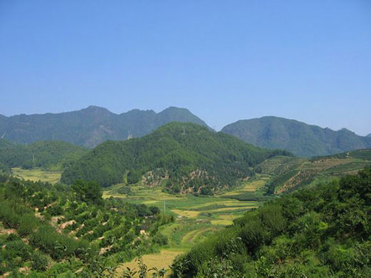什么是好的墓地風水